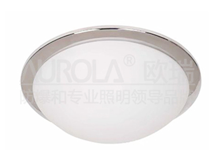 Ceiling Light 2600